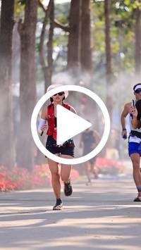 BIB:  <button type="button" onclick="openModal(27608899)" class="btn btn-primary btn-sm float-right" data-toggle="modal" data-target=".modal-high-quality">
                <i class="fa fa-download"></i> Download
                </button>